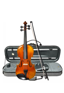 גב מייפל לוהט בכינור 4/4 מתקדם בסיטונאי עם נרתיק (AVL310H)